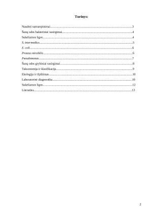 Šunų odos bakteriniai ir grybiniai susirgimai. Paveikslėlis 2
