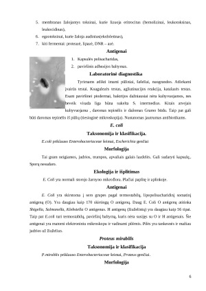 Šunų odos bakteriniai ir grybiniai susirgimai. Paveikslėlis 6