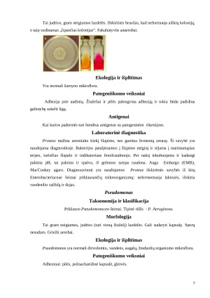 Šunų odos bakteriniai ir grybiniai susirgimai. Paveikslėlis 7