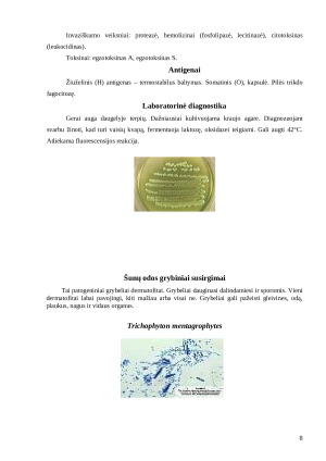 Šunų odos bakteriniai ir grybiniai susirgimai. Paveikslėlis 8