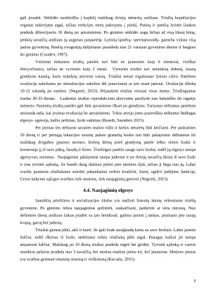 Triušių elgesio rūšys. Paveikslėlis 7