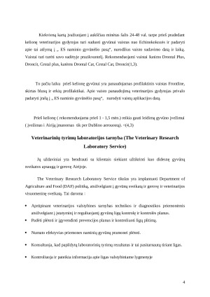 Veterinarinio darbo specifika užsienio veterinarijos gydyklose (Airija). Paveikslėlis 4