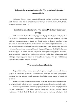 Veterinarinio darbo specifika užsienio veterinarijos gydyklose (Airija). Paveikslėlis 6