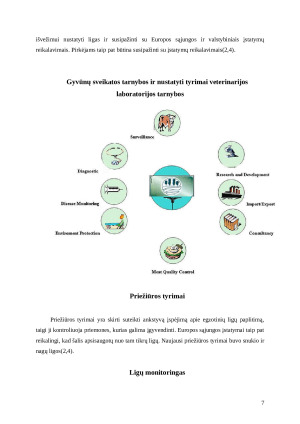 Veterinarinio darbo specifika užsienio veterinarijos gydyklose (Airija). Paveikslėlis 7