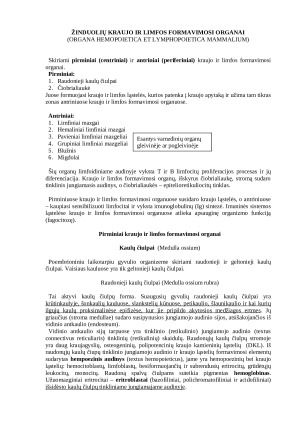 Žinduolių kraujo ir limfos formavimosi organai