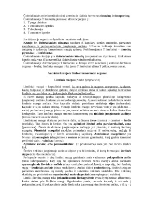 Žinduolių kraujo ir limfos formavimosi organai. Paveikslėlis 3