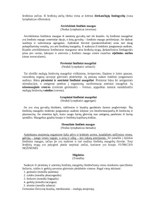 Žinduolių kraujo ir limfos formavimosi organai. Paveikslėlis 4