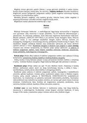 Žinduolių kraujo ir limfos formavimosi organai. Paveikslėlis 5