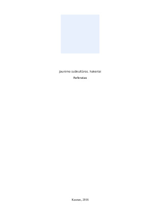 Subkultūros. Hakeriai. Paveikslėlis 1