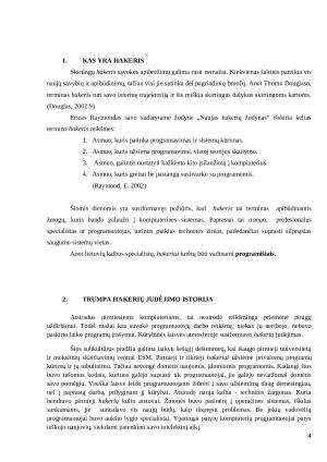 Subkultūros. Hakeriai. Paveikslėlis 4