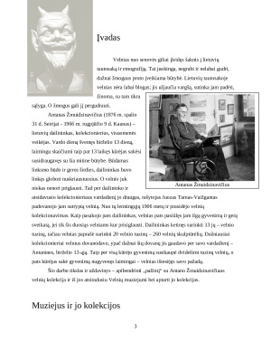 Antanas Žmuidzinavičius, velniai ir jų buveinė – Velnių muziejus. Paveikslėlis 3