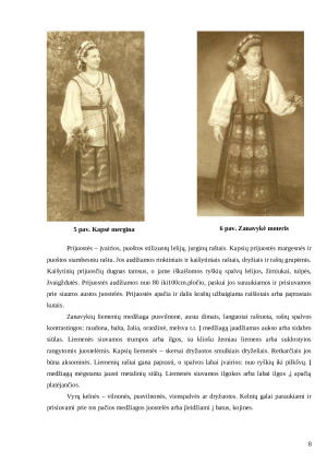 Etnografinių regionų aprangos bruožai. Paveikslėlis 8