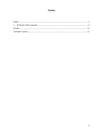 Profesinės etikos samprata