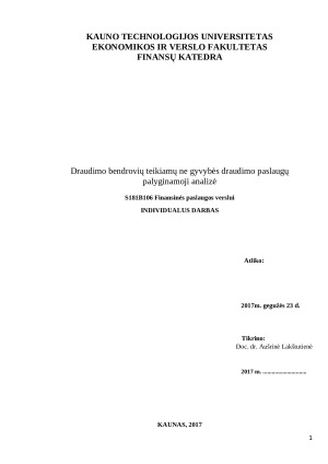 Draudimo bendrovių teikiamų ne gyvybės draudimo paslaugų palyginamoji analizė