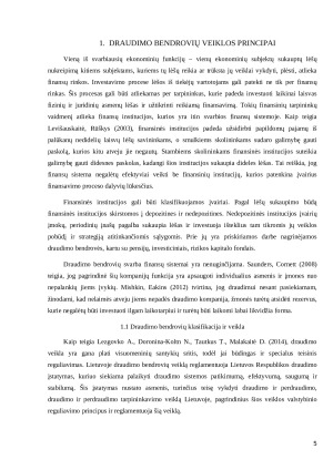 Draudimo bendrovių veiklos principai ir ypatumai. Paveikslėlis 5