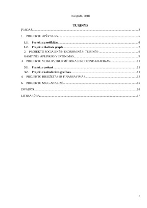 Kelio asfaltavimo projektas. Paveikslėlis 2