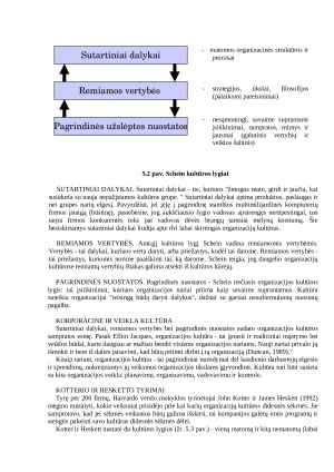 Vadyba ir organizacijos kultūra. Paveikslėlis 3