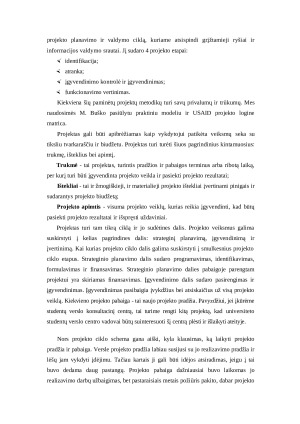Verslo projektai. Paveikslėlis 5