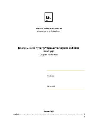 Įmonės „Baltic Synergy“ konkurencingumo didinimo strategija