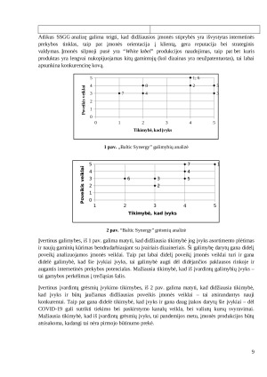 Įmonės „Baltic Synergy“ konkurencingumo didinimo strategija. Paveikslėlis 9