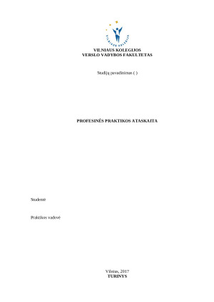 Profesinės praktikos ataskaita UAB „Rokiškio autobusų parke‟