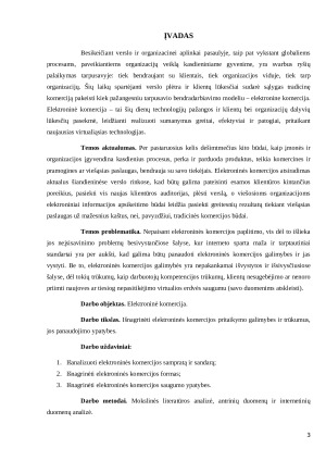Elektroninė komercija. Paveikslėlis 3