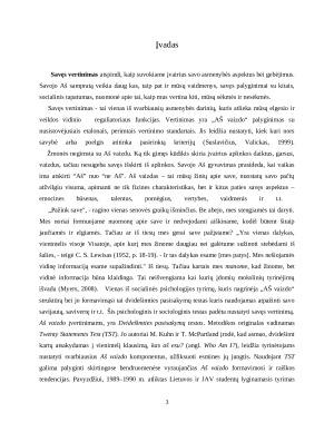 Aš vaizdo ypatybių įvertinimas taikant dvidešimties pasisakymų testą. Paveikslėlis 3