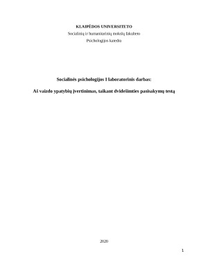 Aš vaizdo ypatybių įvertinimas, taikant dvidešimties pasisakymų testą