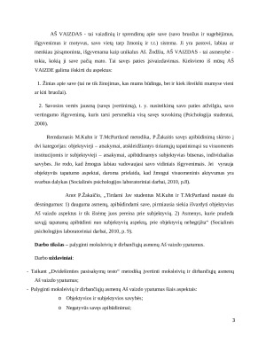 Aš vaizdo ypatybių įvertinimas, taikant dvidešimties pasisakymų testą. Paveikslėlis 3