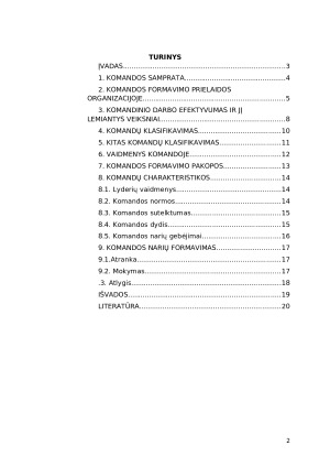 Komandinis darbas. Paveikslėlis 2