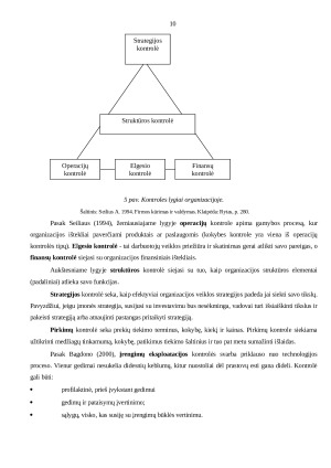 Kontrolės sistemų projektavimo savo profesinėje veikloje analizė. Paveikslėlis 10