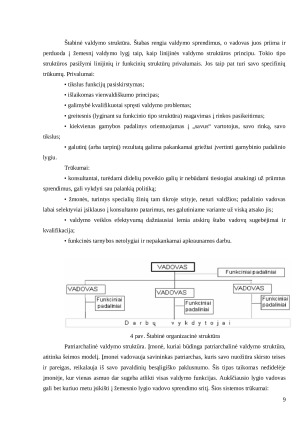 Organizacinės valdymo struktūros. Paveikslėlis 9