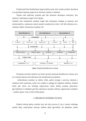 Tradiciniai ir netradiciniai projektai. Paveikslėlis 6