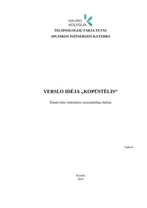 Verslo idėja „Kopūstėlis“