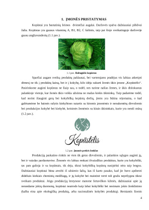 Verslo idėja „Kopūstėlis“. Paveikslėlis 4