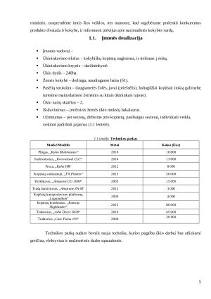 Verslo idėja „Kopūstėlis“. Paveikslėlis 5