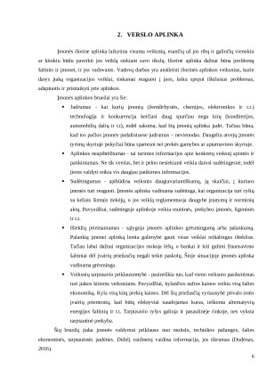 Verslo idėja „Kopūstėlis“. Paveikslėlis 6