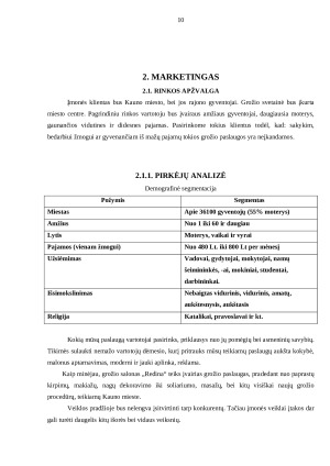 Grožio salonas. Verslo planas (2). Paveikslėlis 10