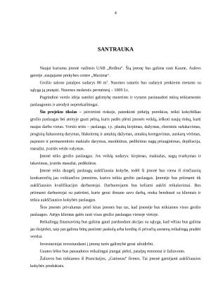 Grožio salonas. Verslo planas (2). Paveikslėlis 4