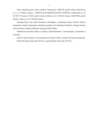 Grožio salonas. Verslo planas (2). Paveikslėlis 5