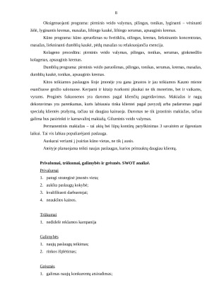 Grožio salonas. Verslo planas (2). Paveikslėlis 8