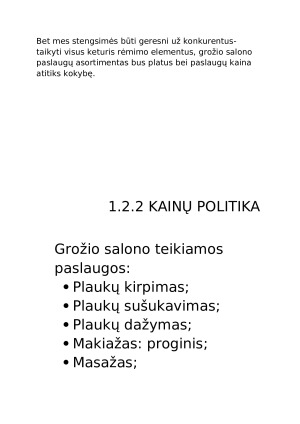 Grožio salono kūrimas. Paveikslėlis 6