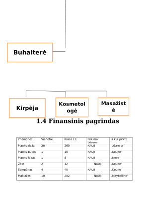 Grožio salono kūrimas. Paveikslėlis 8