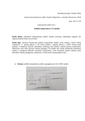 Aušiklio temperatūros CTS jutiklis