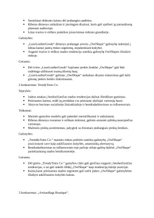 Odinių rankinių verslo planas. Paveikslėlis 4
