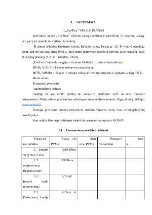 Vaikų vežimas į ugdymo įstaigas verslo planas. Paveikslėlis 3