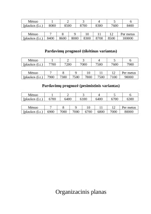 Siuvyklos verslo planas. Paveikslėlis 6