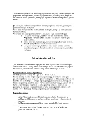 Teisės sampratos. Paveikslėlis 3