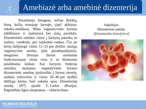 Parazitinės ligos. Paveikslėlis 4