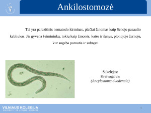 Parazitinės ligos. Paveikslėlis 5